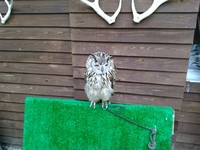 20160702100645.jpg（500px × 375px）